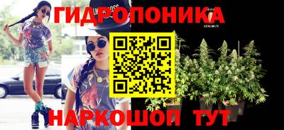 гидра Кинель